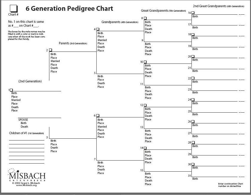 fillable pedigree chart for dogs